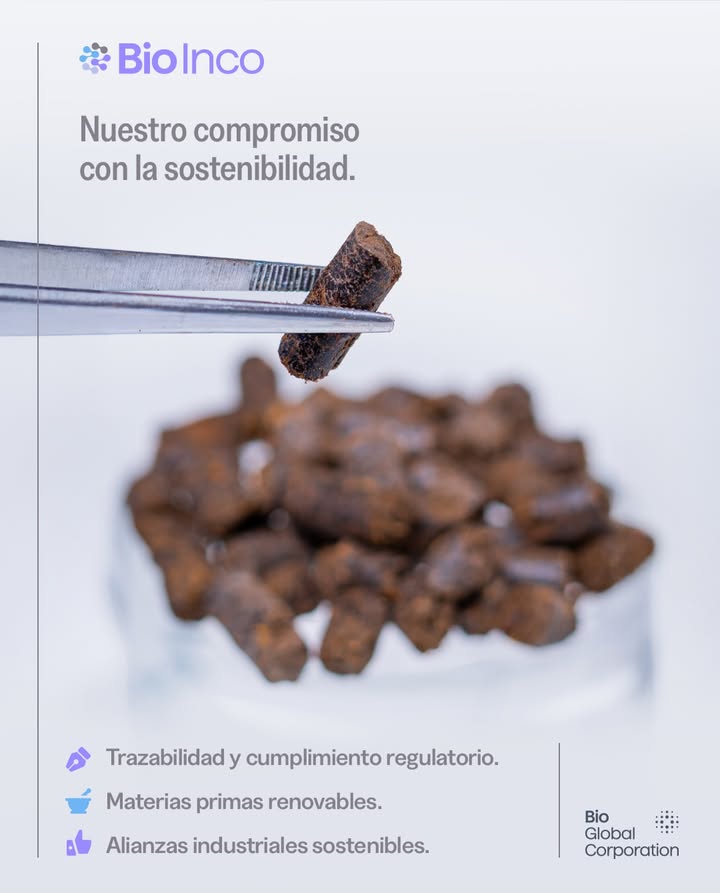 🌱🌍 Impulsamos la transformación sostenible&hellip;